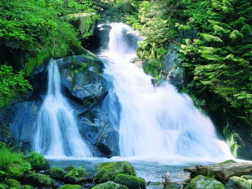 triberger-wasserfall